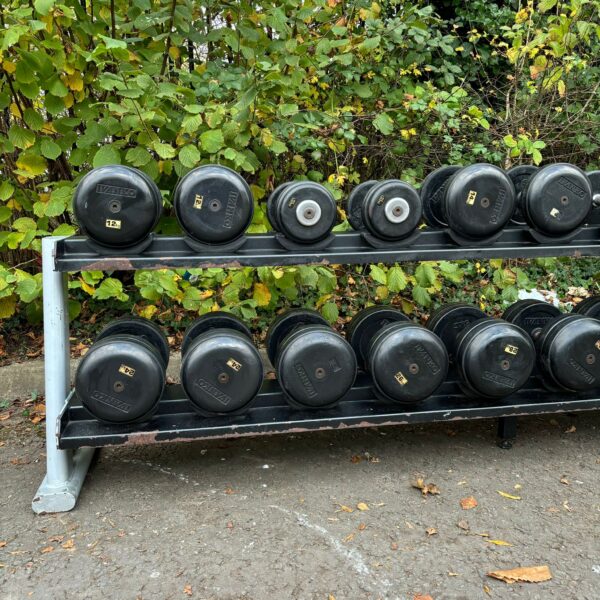 12 - 45KG Ivanko / Life Fitness dumbbell set with racks - Image 2